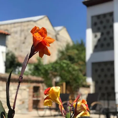 Akay 3* Σελτσούκ