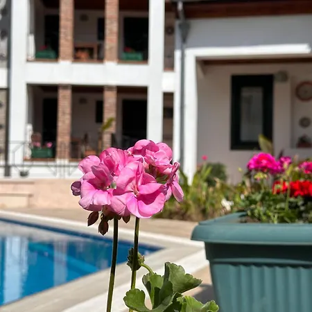 Hotel Akay 3*