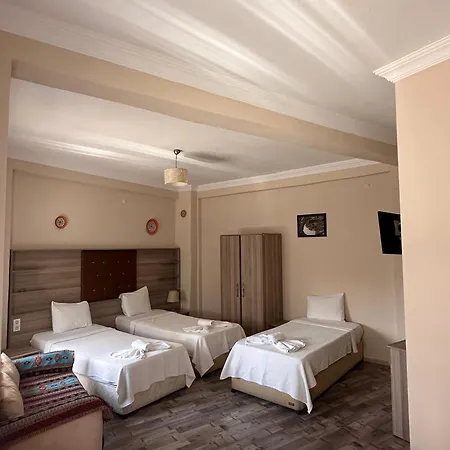 阿凯酒店 3* 塞尔丘克